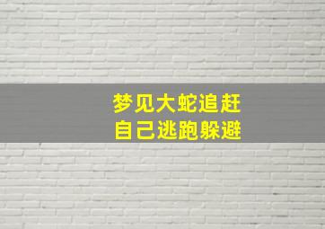 梦见大蛇追赶 自己逃跑躲避